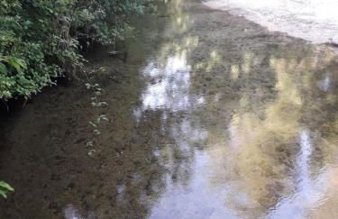 Quinta da Casa Matilde - NATURE HOUSE - Foto 56