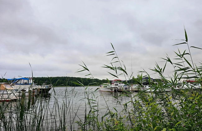 Ferienwohnungen, Malchow - Foto 42