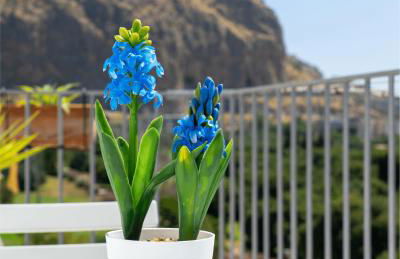 Airoldi Home - Foto 19