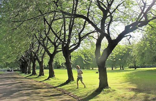 -F5GH- For relaxed & Cosy stay, Free Parking, WiFi - Foto 37