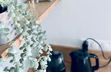 Maison à l'orée du bois du Kador - Photo 9