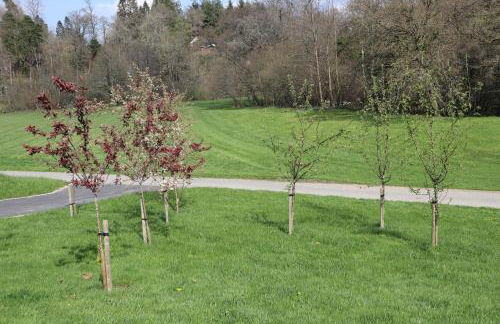 HEDDFAN, Luxury 3 bedroom timber lodge, Now with WiFi, Caer Beris Holiday Park, Builth Wells, SORRY NO TRADESMEN OR CONTRACTORS ALLOWED - Foto 33