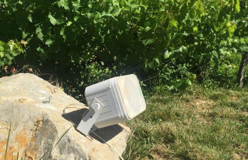 Apartments Juranic I - Photo 33