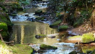 Ferienwohnung am Meulenwald - Foto 4
