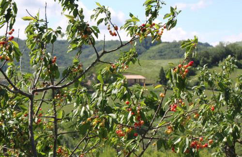 Casa Bruna Appartamenti - Foto 12
