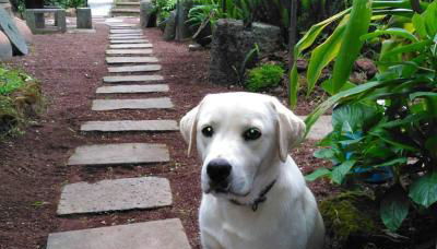 Quinta Nossa Senhora de Lourdes - Photo 2