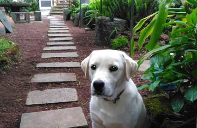 Quinta Nossa Senhora de Lourdes - Photo 2