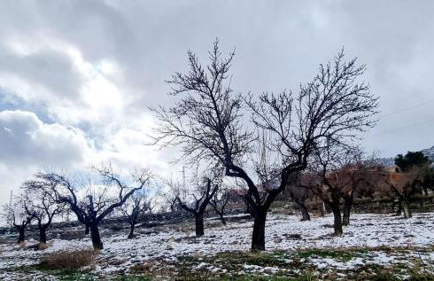 CASA MIGUEL - Foto 39