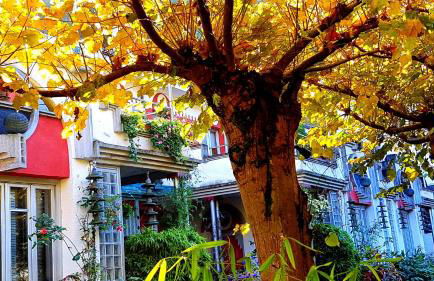 zentral club apartamento protón-jacuzzi - Foto 24