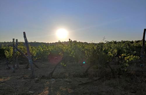 Disfrutando la zona - Photo 24