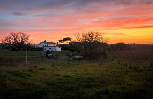 Agriturismo il Poggio - Foto 44