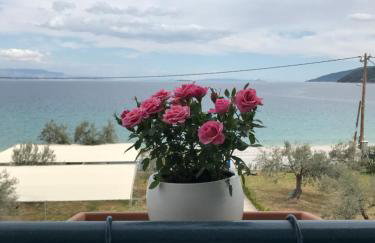 Amalfi Complex - Foto 47