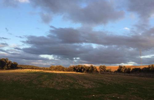 El Carro del Abuelo - Foto 44