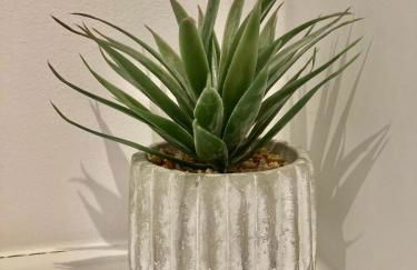 Alex Place's - Foto 60