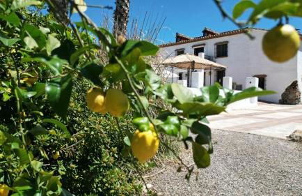 Isla Las Palmeras - Foto 12