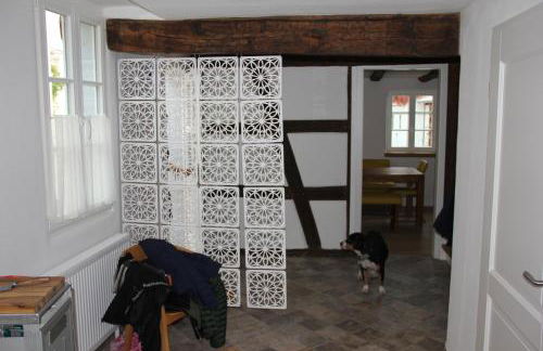 Fach1738 Dernau - Ahrtal - Foto 15