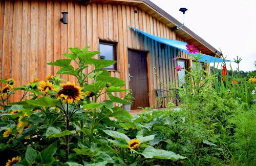 Leśny Zakątek Uroczysko -Apartamenty Nowoczesnej Stodoły - Foto 36