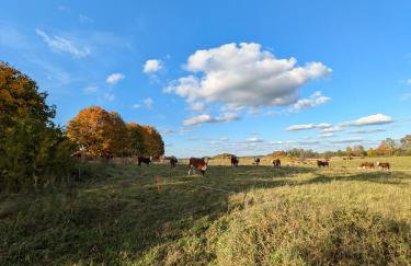 Świerkowe Ranczo Raciszewo - Foto 57