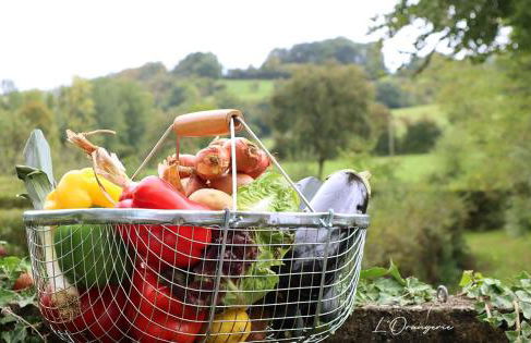 L'Orangerie Normandie - Foto 5