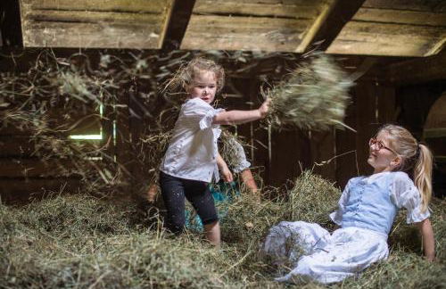 Panorama-Apartments Oberkofl - Photo 67