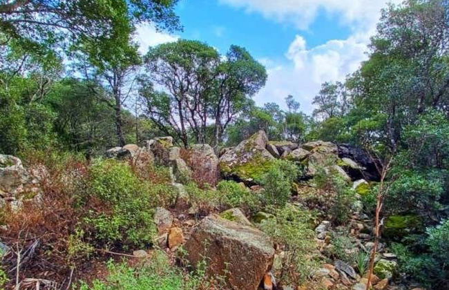 Tour in Castiadas - Foto 6