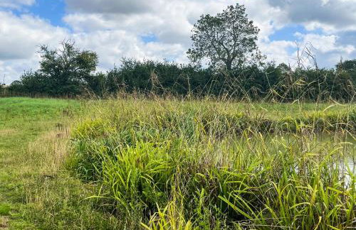 Willow Cottage - Foto 10