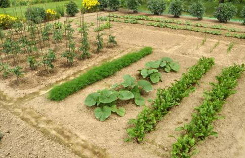 Villa Margarita's farm, private pool - Foto 18