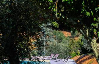 AGRITURISMO TERRA VOLONTERI - Foto 19