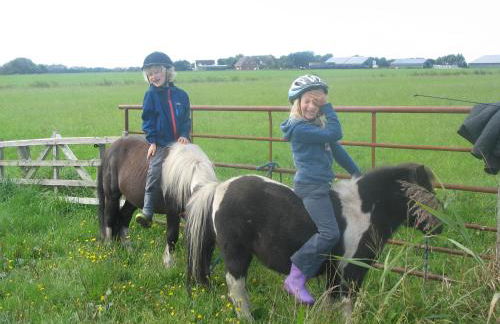 Ferienkate Kap Eiderstedt - Foto 14