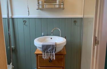 Shepherds Hut with Scandinavian Hot Tub and hydromassager - Foto 22