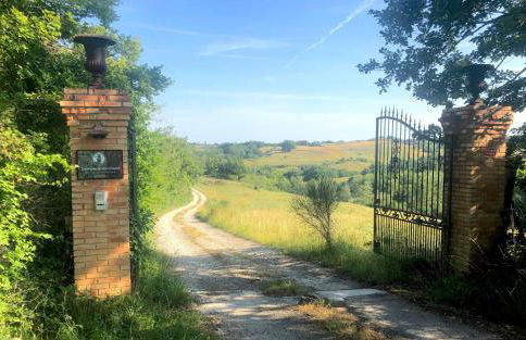 Domaine du Cammazet - Foto 21