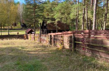 Domek nad jeziorem Guzowy Piec - Foto 21