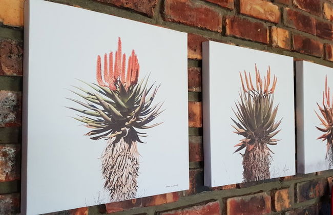 de Pakhuys - Foto 70