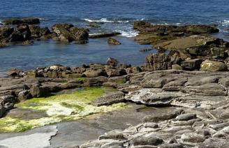 Casa do Portão Azul - Dourada - Foto 43