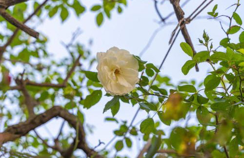 Apena Apartment - Foto 15