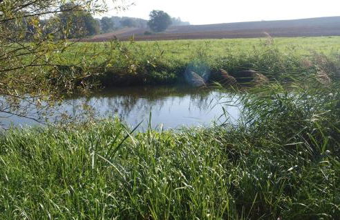 Lovely Home In Sagsdorf - Foto 9