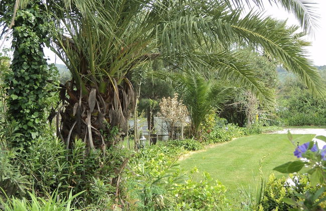 Quinta Retreat With Pool and Olive Grove - Foto 39