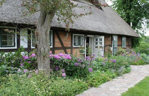 Ferienwohnung in Reddelich for 4 Personen - Foto 17