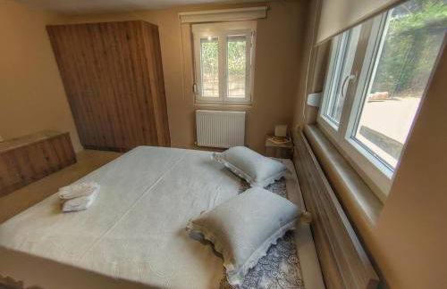 Stellar Blue Palio - Foto 17