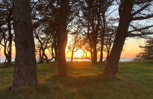 Maison avec SPA côte de granit rose - Foto 30