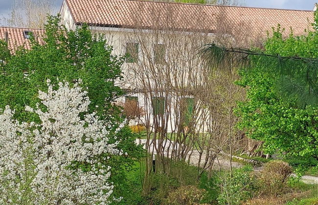 AGRITURISMO L'EREMO - Photo 34