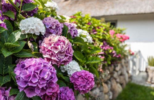 Ferienhaus Kaptn Karl Keitum Sylt - Photo 29