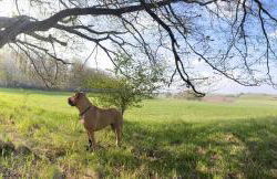 Haus Auenland - Foto 31