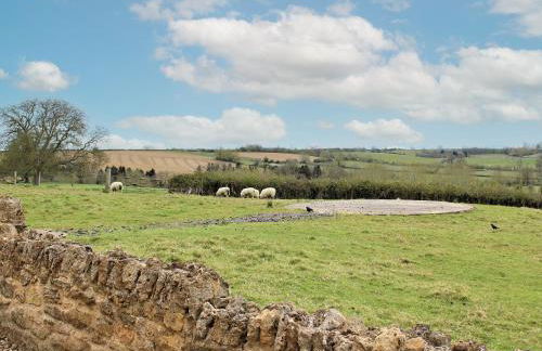 Dusty's Stable - E4751 - Photo 5