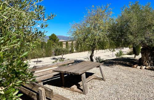 Stunning 3 bedroom rural apartment near Pinoso - Foto 21