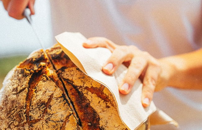 eumelia organic agrotourism farm - Photo 34