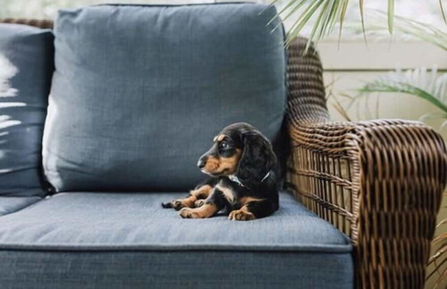 La Grange des Pères - Photo 67