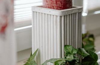 Ferienwohnung Landliebe - Foto 7