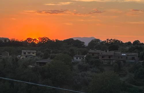 Casa Oliva Casperia, house & private olive grove - Foto 8