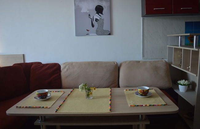 City Apartment Angelova - Foto 16